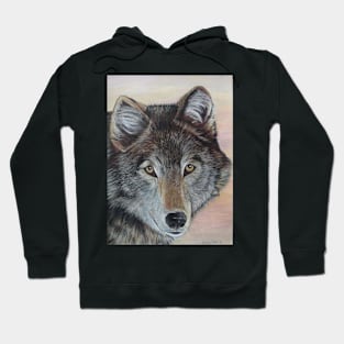 wildlife portrait painting of gray wolf Hoodie